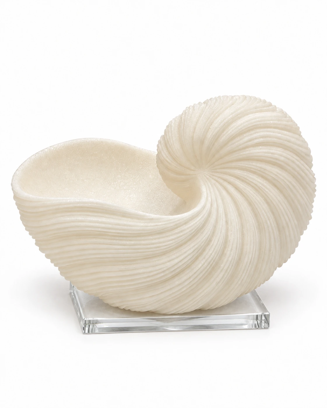 Warm ivory ribbed nautilus shell decoration attached to a clear rectangular glass base